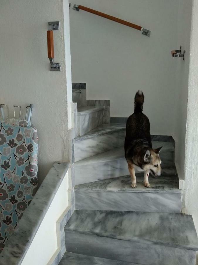 Seaside Beach House Siviri Exterior photo